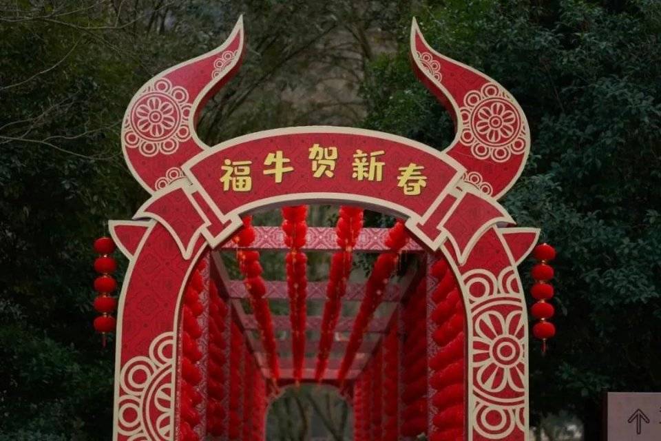 春节游丽水 文旅精彩不停歇！