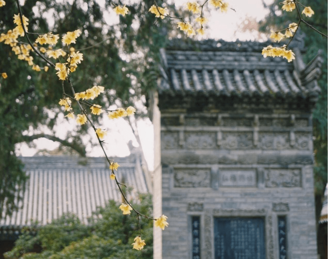 西安闹市区里的这个寺庙藏着1700多年的历史，值得一去