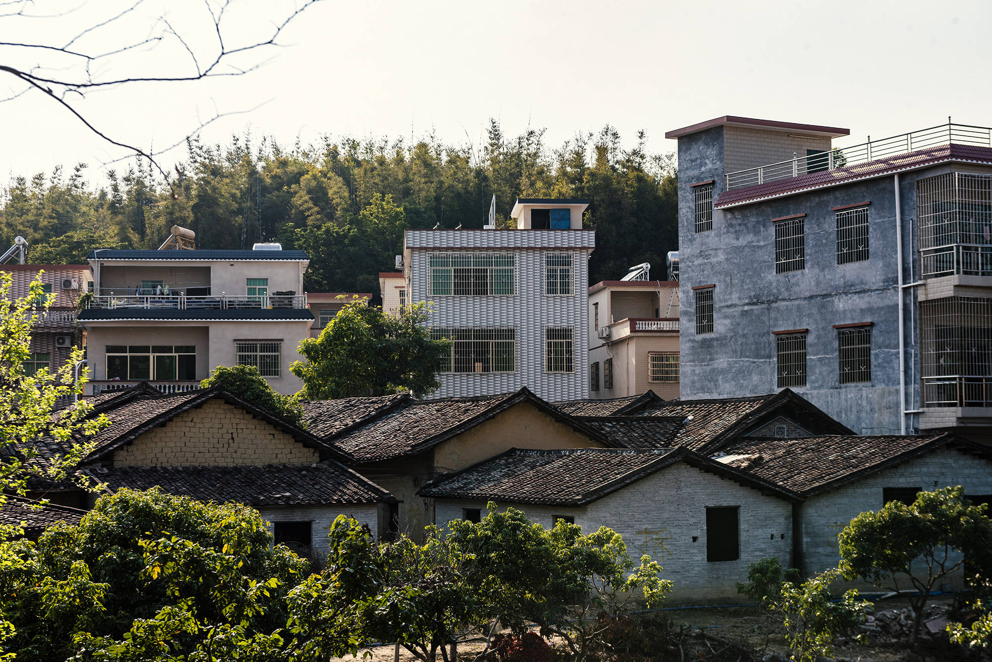 麦地坪村有多少人口_人口普查(3)