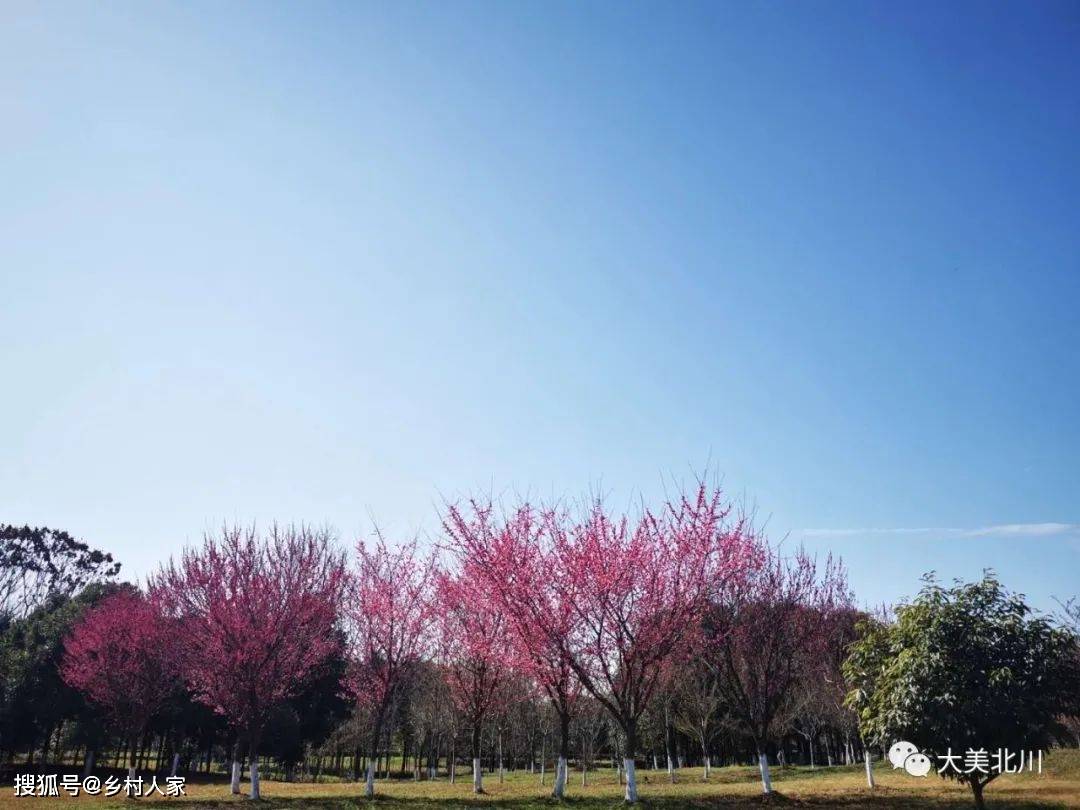 今日份北川蓝 ，你爱了吗？