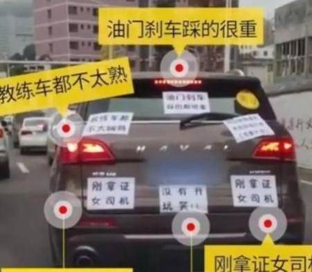 老司机开车越来越慢 00f6ac47c4c64d7cb952d1e3503aba68.jpeg