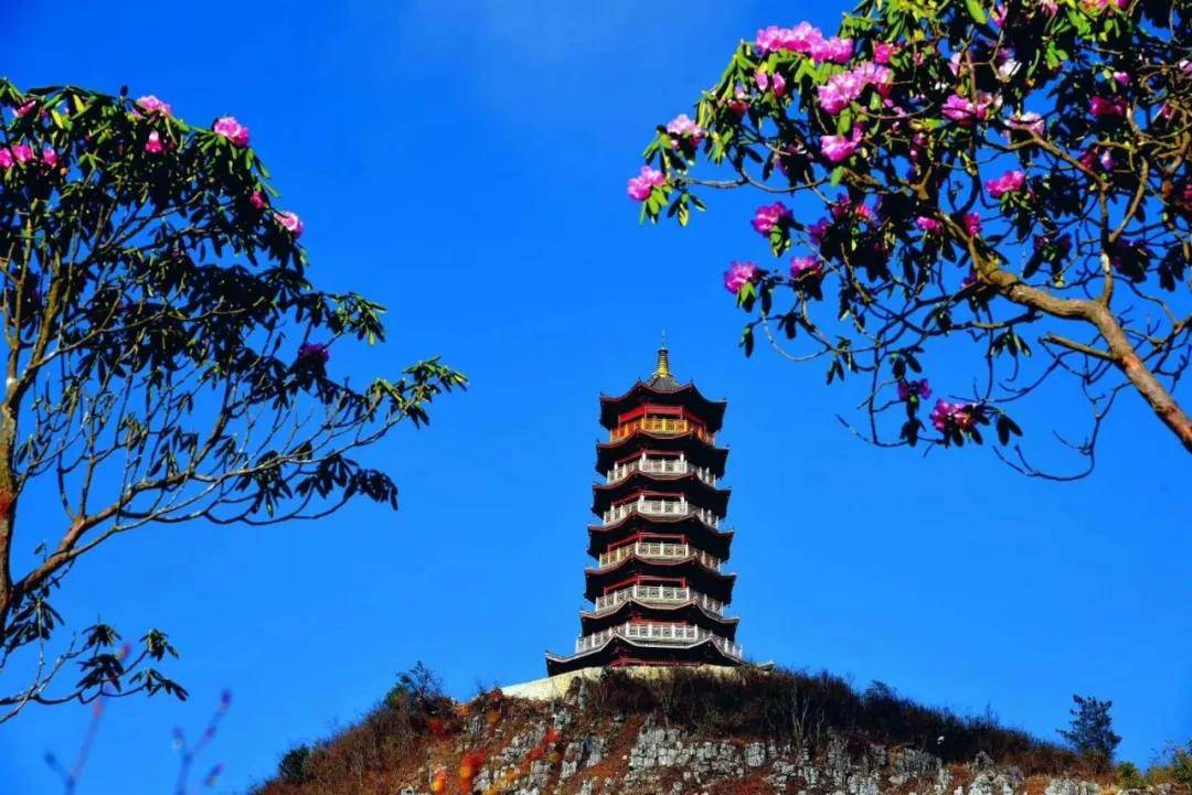 新年新祈福 | 缘聚状元楼！