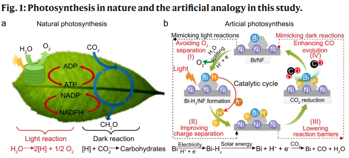 陝西科大李英宣教授模仿光合作用實現光催化co2還原