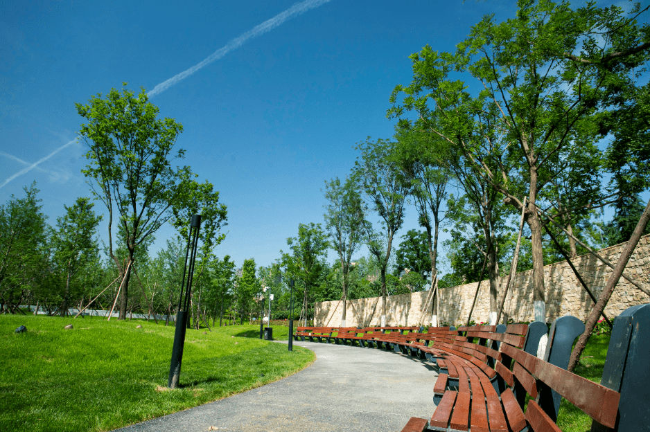 家门口的公园,给你春天才有的浪漫_曲江