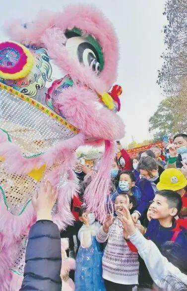 赏花游园、民宿爆满，春节长假武汉“乡村游”火了！