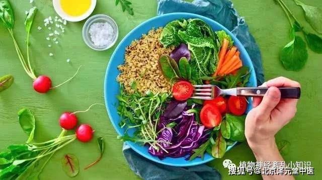 什么是少渣蔬菜 494887d8d3244fdaa4f728ae41f43d84.jpeg