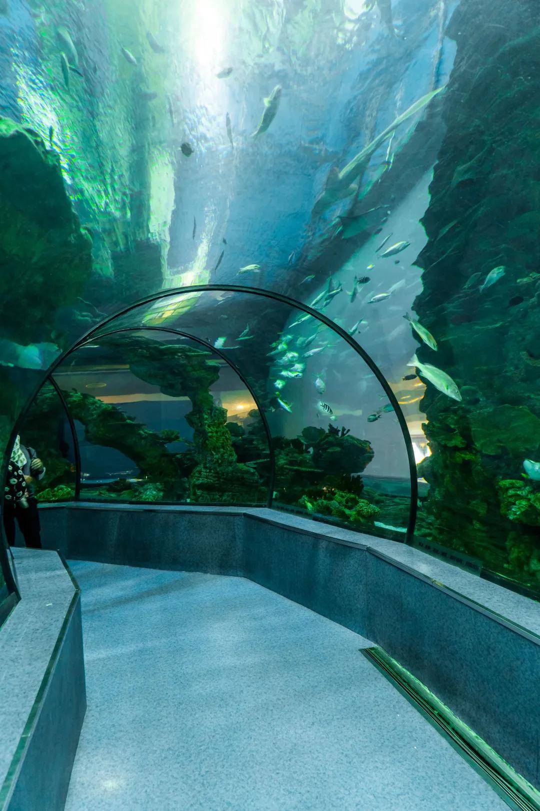 新春吃货节来了春节不打烊就在乐从天佑城