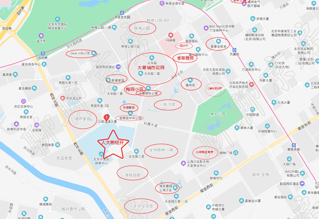 新强人口_人口普查(3)