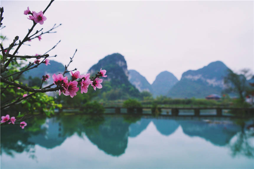 广西这个低调的景区，藏着一个明媚的春天，这里是德天瀑布的源头