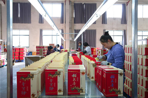 综艺公司员工正在生产稻花香活力型酒盒为客户及时配送产品规划部署