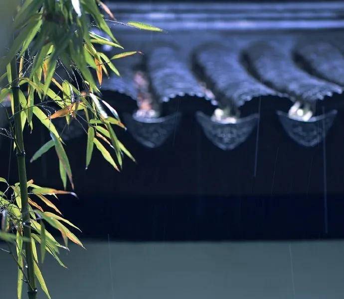 雨水|院子里的滋养时光