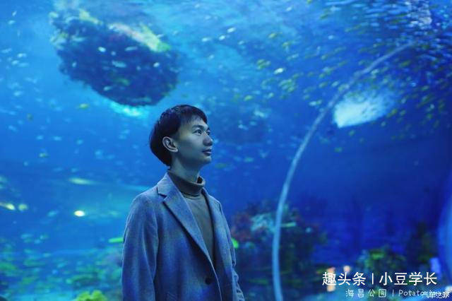 上海有一个海底世界馆，早起来到空无一人，可拍摄人像海底大片