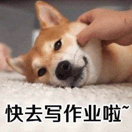 寒假作业看图猜成语_看图猜成语(3)