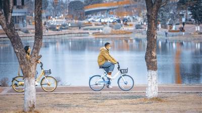 面向公园 就地过年