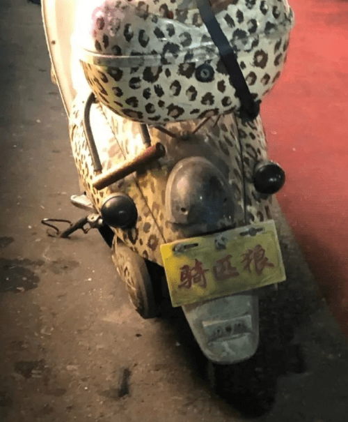 原创
为了不给单位丢脸,我一定要学好舞蹈