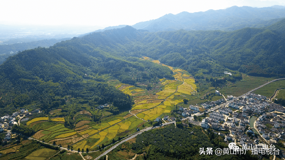 黄山区兴村黄山区新丰村黄山区舒溪村黄山区饶村黄山区龙源村黄山区