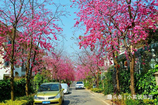 昆明市晋宁区总人口_昆明市晋宁区李健林(2)