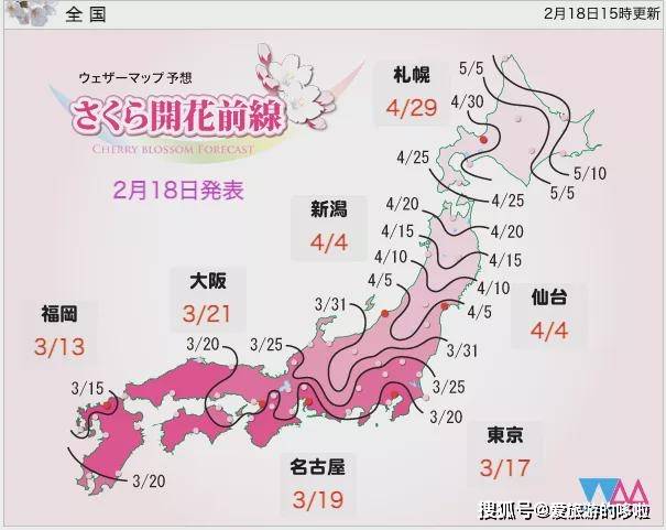 这份美不胜收的《日本赏樱攻略》，明年或许用得上