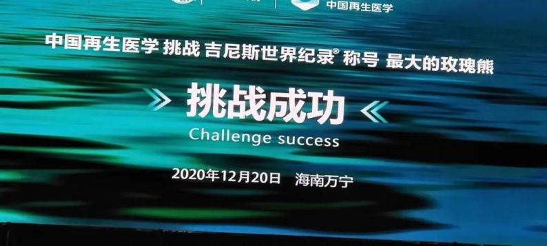 吉尼斯世界纪录百界打造世上最大的玫瑰熊