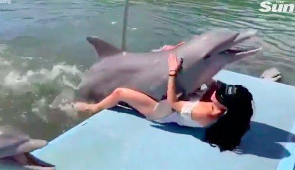 摆脱对海豚的崇拜，理性看待海豚，已有许多女性被海豚性侵