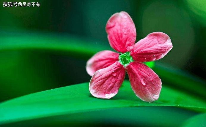 七七是什么人物 97524f7ec7f2426d921bbe85fd73525b.png