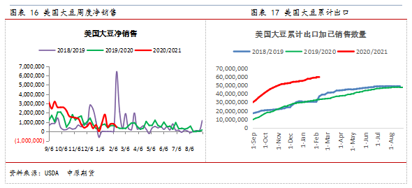 美国有多少人口2020_美国短尾猫有多少图案(2)