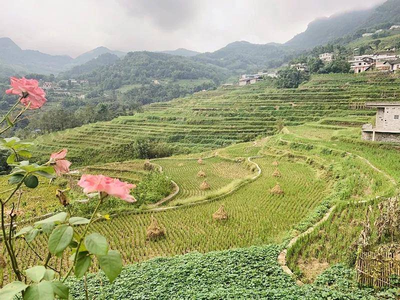 【创建天府旅游名县】四川兴文这里超美的田园风光，还不快来打卡！