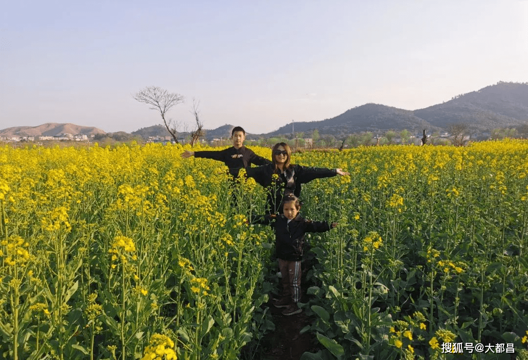 都昌30万亩油菜花竞相绽放，吸引众多游客踏青赏花！