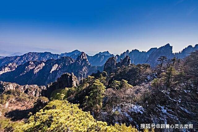 祁门人口_祁门红茶图片(2)