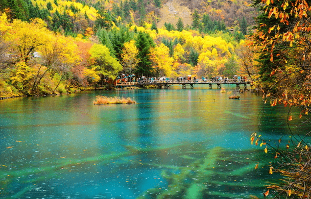 水景之王九寨沟，修复之后重新开放，冬景美得让人陶醉