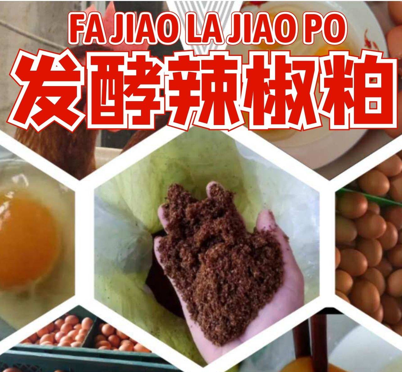 eab856867bb34d9691282a5cea56d4e7.jpeg