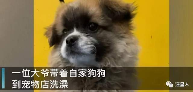 ff04306060794bcc98e85b638e59eff6.jpeg