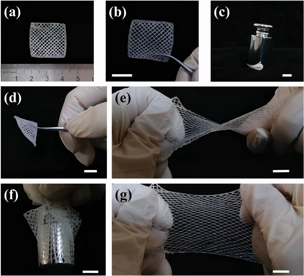天津大学刘文广afm3d打印高强度和抗溶胀超分子聚合物水凝胶