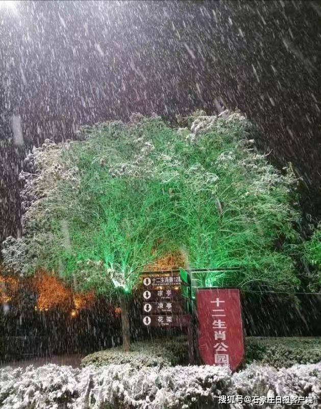 從28℃到下大雪!邯鄲用3天完成夏冬切換