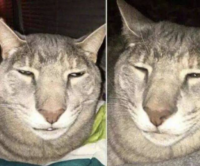 7b702240e35646ffaf69b080ee5a9b7b.jpeg