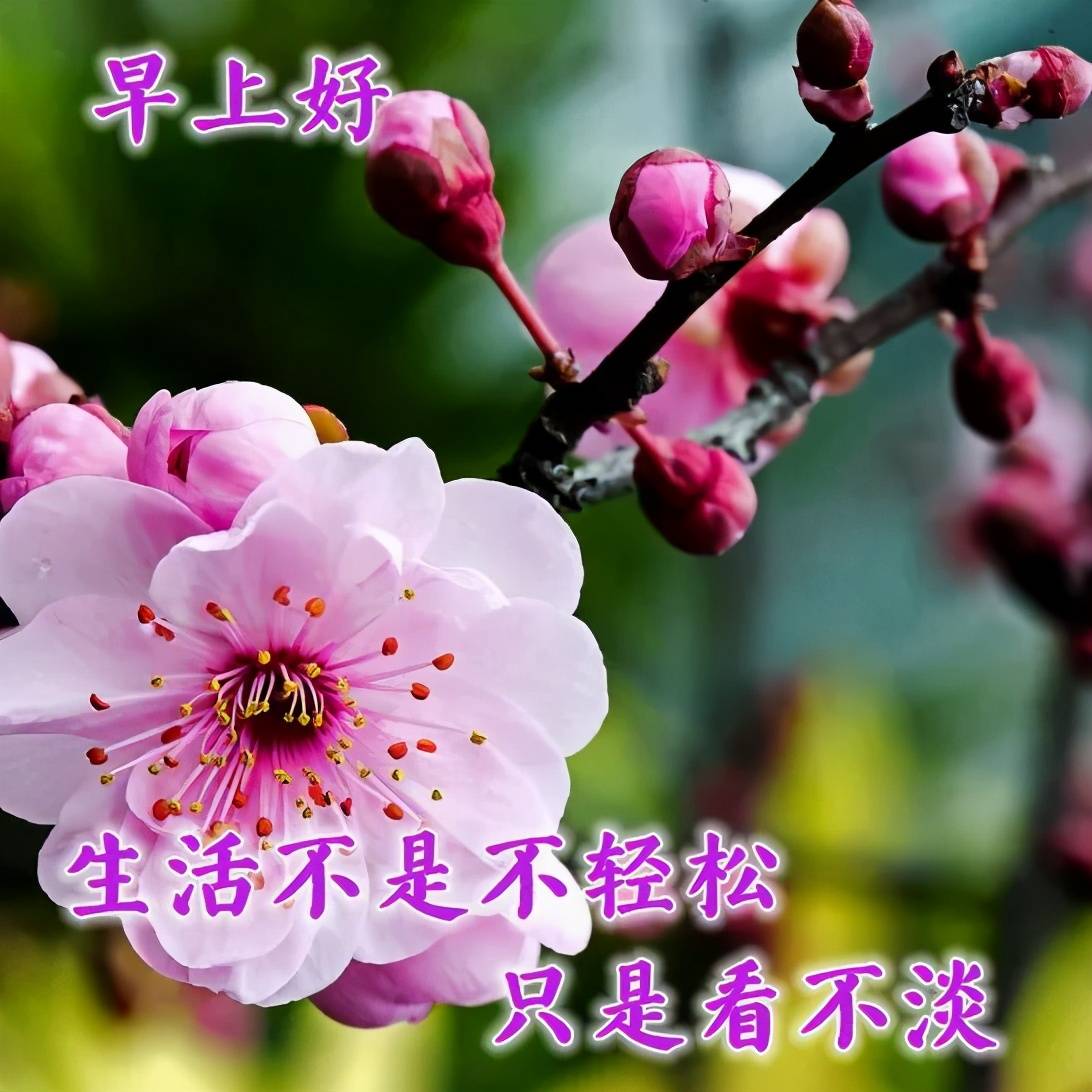 dc59bbbb204f41cabb1573d9b69c6066.jpeg