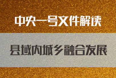 2021中央一號文件解讀縣域內城鄉融合發展