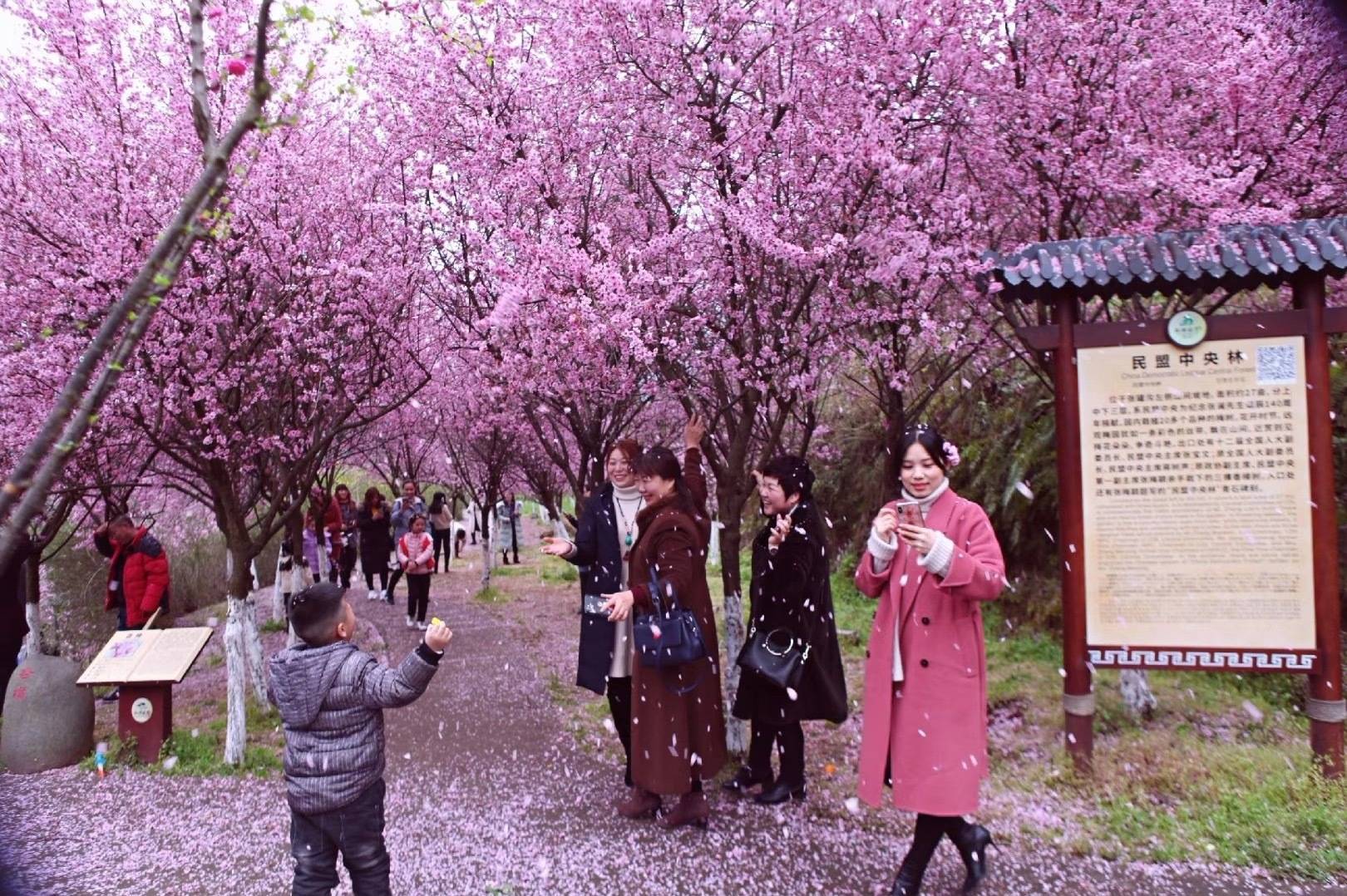 其實,瀾嶺江花景區只是南充市以