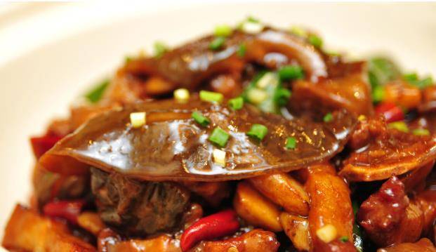 如何杀甲鱼及做法 2b5eacd5e2db4e05be402ee2ec4716a7.jpeg