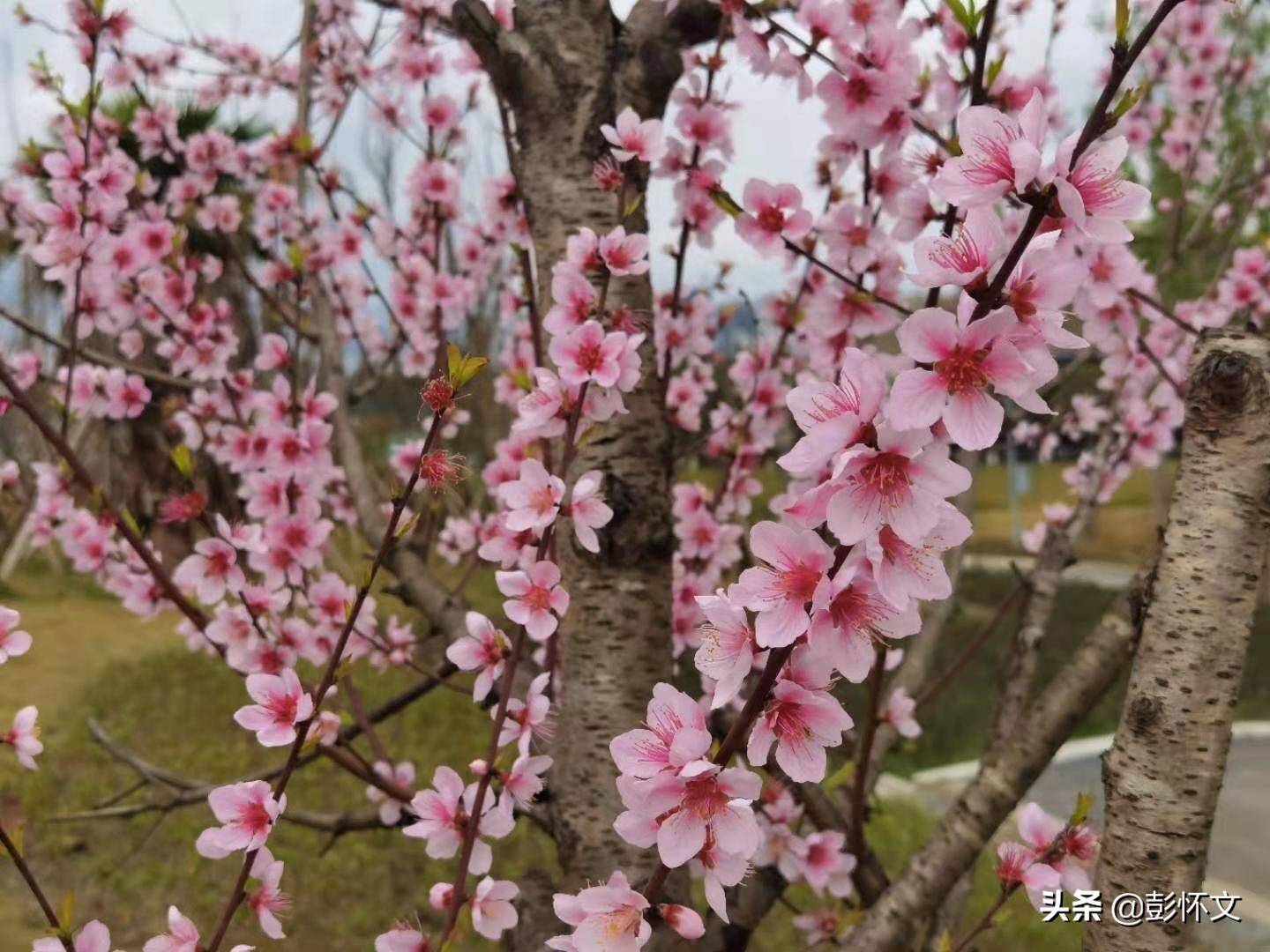 财税实务问题解答9则 21年3月1日 股权