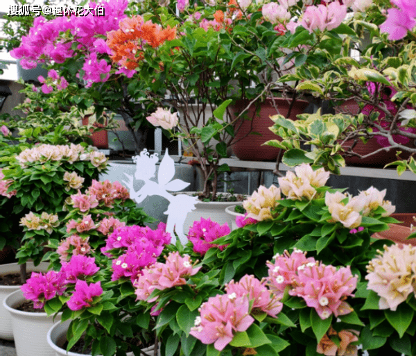 d7f81dcadb8443089b9944bbe77eb2d1.png
