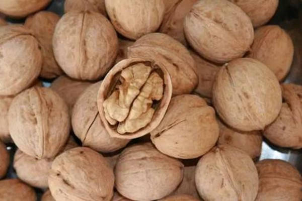 特产早知道左权绵核桃