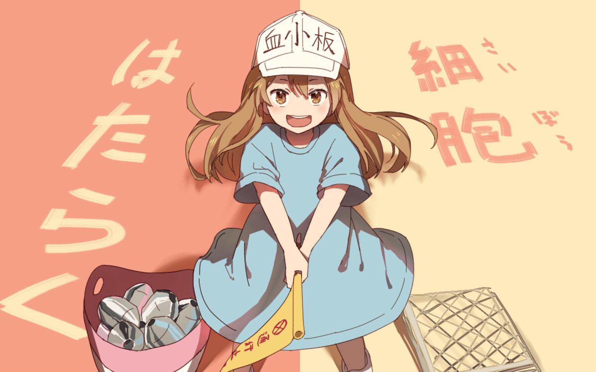 原创工作细胞大电影引进国内这部日漫为何会大获推广