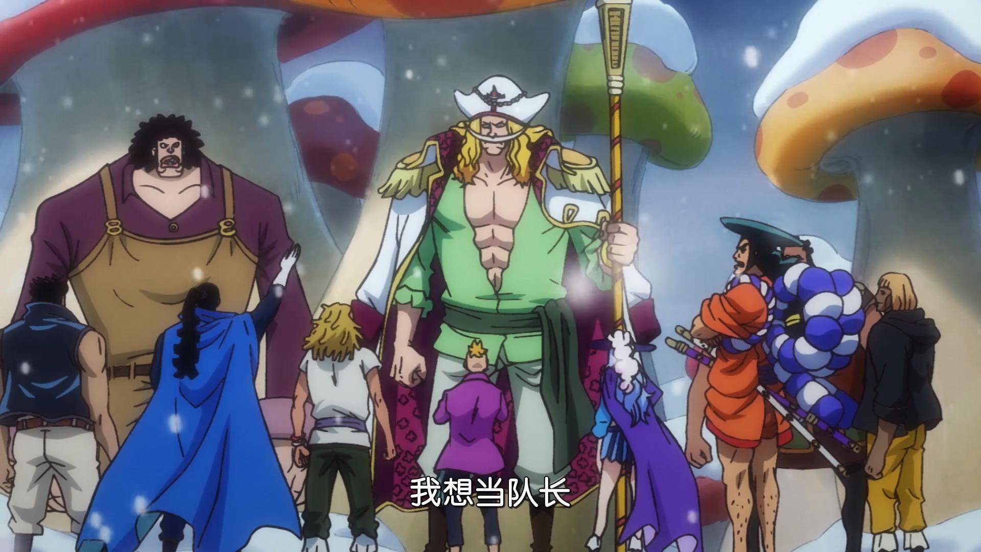 海贼王白胡子团队长序号暗藏伏笔难怪单数队长要比双数的强