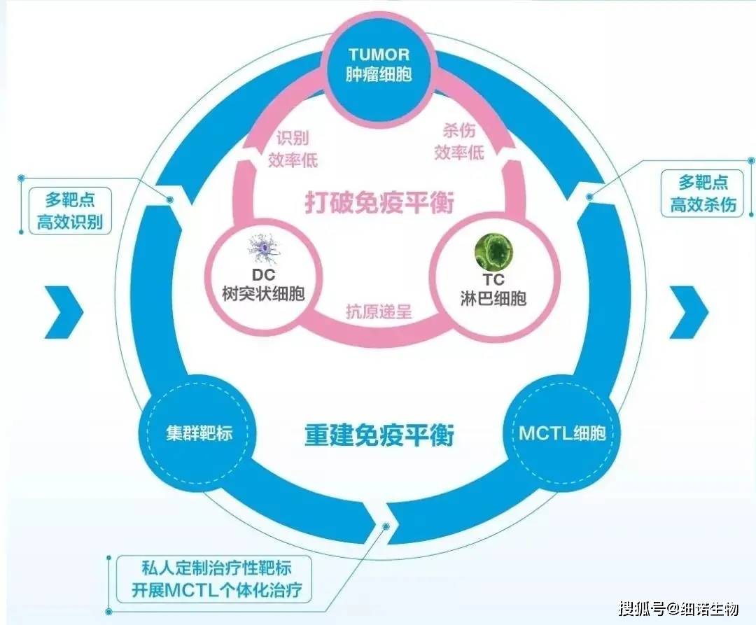 前沿:mctl技术助力重建肿瘤患者的免疫平衡!_治疗