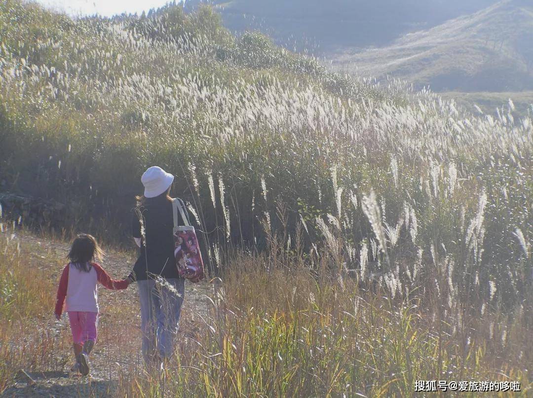 挪威的森林电影视频 94d87e2461d44d2c84bc7d3ee6ae6946.jpeg