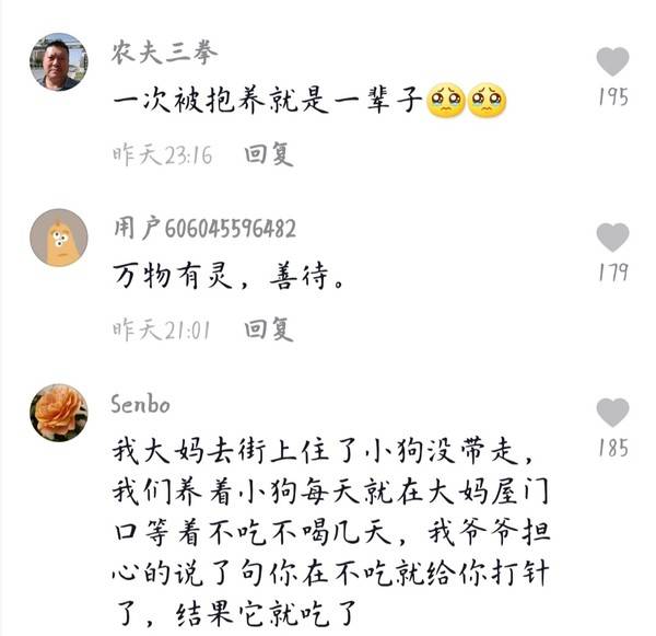 一去不返简谱_小星星简谱(2)