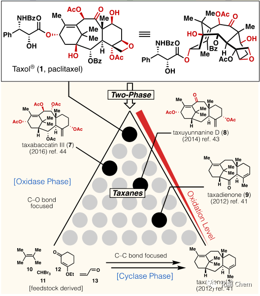 taxol紫杉醇合成之旅