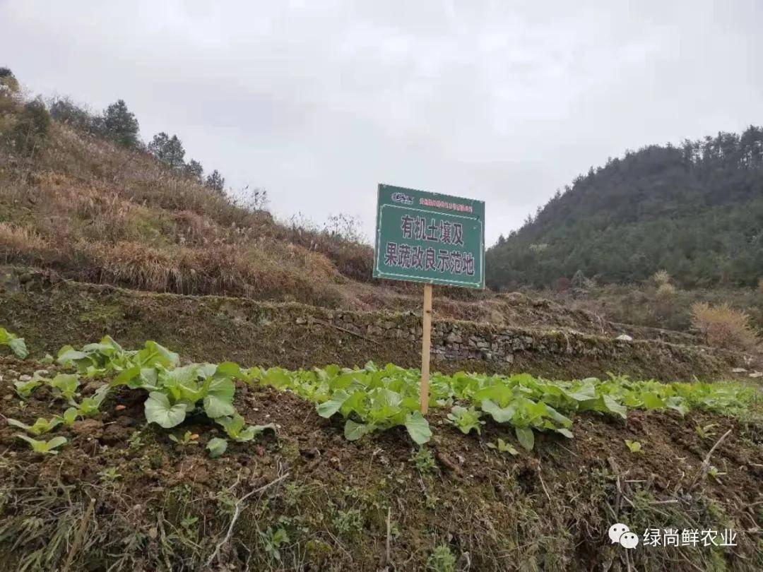 开阳县龙岗镇gdp_开阳县龙岗镇幼儿园(2)