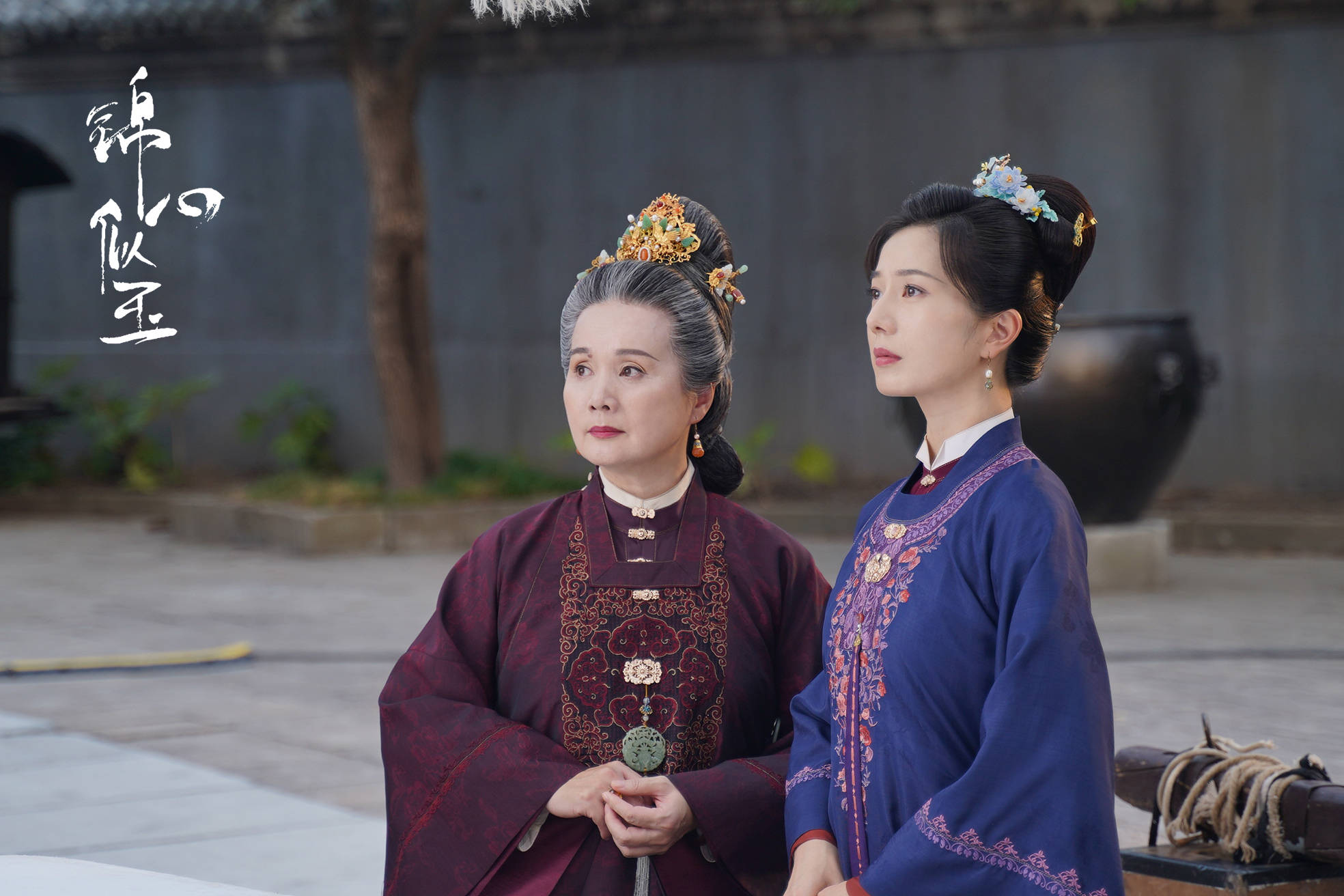 彭杨锦心似玉正在热播演绎端庄大气徐府二夫人